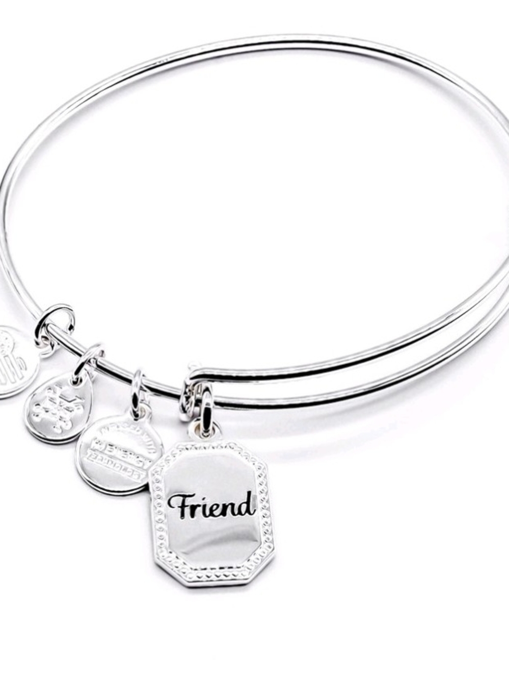 Alex and Ani Silver 'Because I Love You Friend' Tag Bracelet